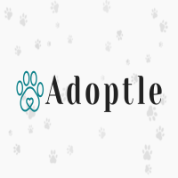 Play Adoptle now!