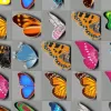 Butterfly Kyodai