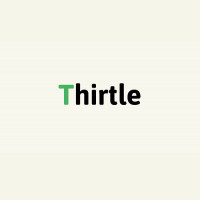 Play Thirtle now!