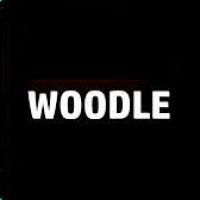 Play Woodle now!