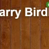 Larry Birdle
