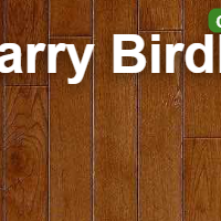 Play Larry Birdle now!